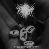 Into the shadows