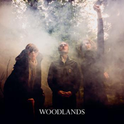 I Wanna Know by Woodlands