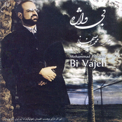 Bi Vajeh