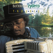 Hard To Stop by Buckwheat Zydeco
