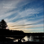 Album cover for Swedish Springtime: Forests & Lakes (Extended Edition), by Natural Perspectives