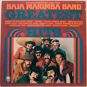 the best of the baja marimba band