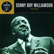 My Younger Days by Sonny Boy Williamson