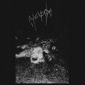 Endless Decay in Putrescent Void