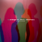 A Catalogue Of Erica's Misfortunes