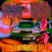 This a Mothafuckin' Split