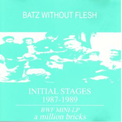 Initial Stages 1987-1989