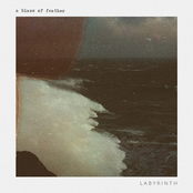 Labyrinth (Acoustic)