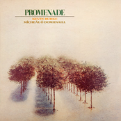 Kevin Burke: Promenade