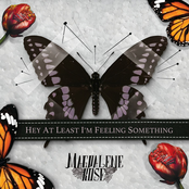 Hey At Least I'm Feeling Something