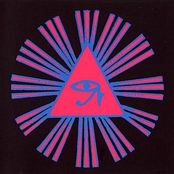 The Psychedelic Experience