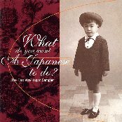 What Do You Want a Japanese To Do?