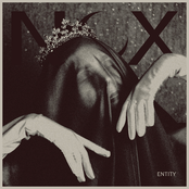 NOX Entity