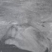 Plays Themes From Voyage