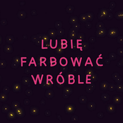 Lubię farbować wróble
