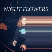 Night Flowers