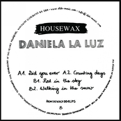 Did You Ever - Album PreSampler