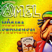 antoniocamel