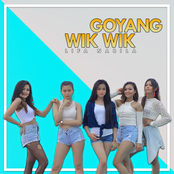 Goyang Wik Wik