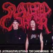 splattered cadaver