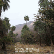 The shadow of the future