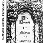 The Deepest Caves by Old Forest