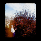 Ken Pomeroy: Pareidolia