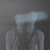 Public Circuit: A New Idol