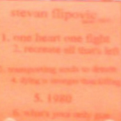 Stevan Flipovic Demo