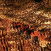 Satellites Of The Elders