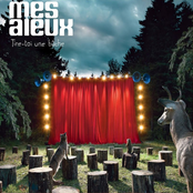 Tire-toi une bûche (Live)