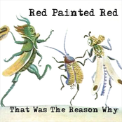 That Was The Reason Why