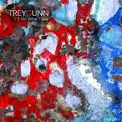 The Joy Of Molybdenum by The Trey Gunn Band