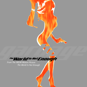 The World Is Not Enough