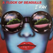 A Flock of Seagulls - I Ran Artwork