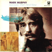 November In The Snow by Mark Murphy