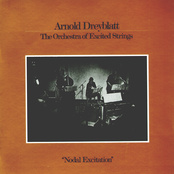 Arnold Dreyblatt: Nodal Excitation