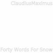 Forty Words For Snow