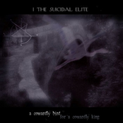 A Cowardly Bird, For A Cowardly King