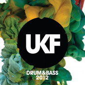 Sub Zero: UKF Drum & Bass 2012