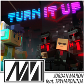 Turn It Up - Single