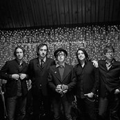 Avatar for Ryan Adams & The Cardinals