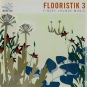 Flooristik, Vol. 3