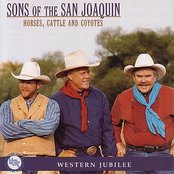 Border Affair by Sons Of The San Joaquin