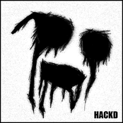 hackd