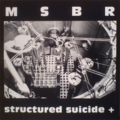 Structured Suicide by Msbr