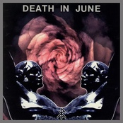 Rose Clouds Of Holocaust by Death In June