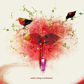 When The Light Goes On