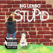 Stupid - Single