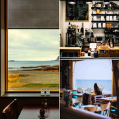 Backdrop for Fresh Javas